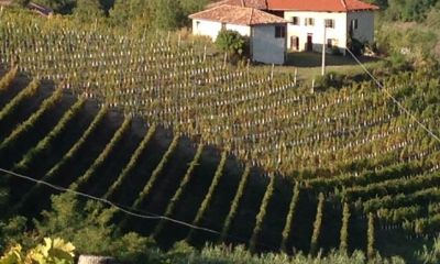 Domaine_20.jpg