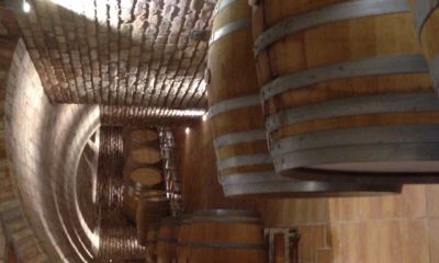 Domaine_5.jpg