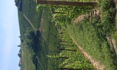 Domaine_15.jpg