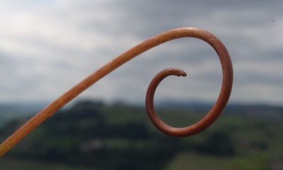 Domaine_27.jpg