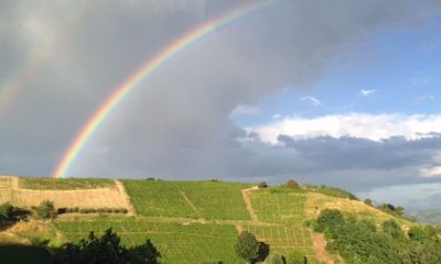 Région_6.jpg