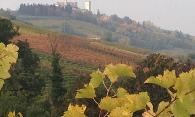 Région_8.jpg