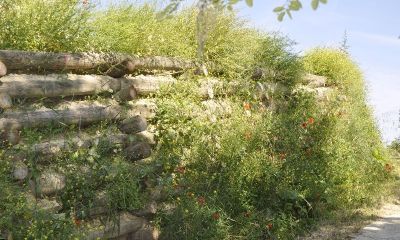 Le mur écologique