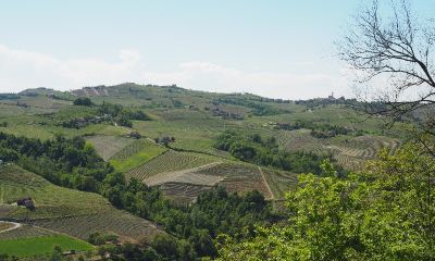 Collines piémontaises